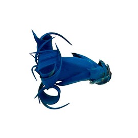 ragnaroc Air Plants - Dyed Tillandsia Xerographica Pup, Large 2-4" (Ocean) - 1ct - Live Arrival Guaranteed - House Plants for Home Decor & Gift