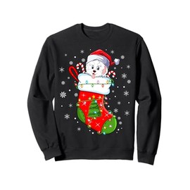 Funny Havanese Dog In Christmas Socks Lights Xmas Sweatshirt