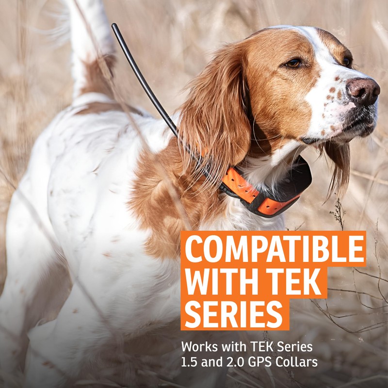 SportDOG TEK Series 1.5 & 2.0 Collar Charge Cradle -