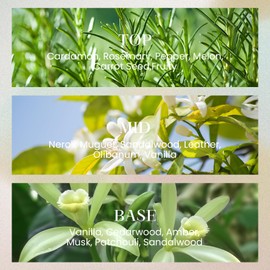 M&SENSE 6.3 oz Large Reed Diffuser Set | Sandalwood Vanilla Scent Oil Diffuser with Sticks | Hotel Collection Non-Toxic Essential Oil |for Bedroom Bathroom Living Room