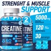 Vita Guard 5000mg Creatine Monohydrate Gummies Formula for Men and