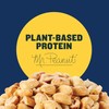 Planters Salted Peanuts 10 ct Box, 1 oz Packs, Pack
