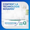 Sensodyne Toothpaste Repairs & Protects Fresh Mint for Sensitive Teeth