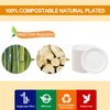 WELLIFE 100% Compostable Paper Plates 7 Inch, 125-Pack Heavy Duty