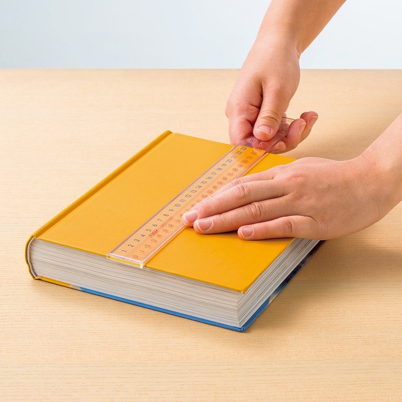 Lion Office Equipment Pick-up Ruler Scale 11.8 inches (30 cm)