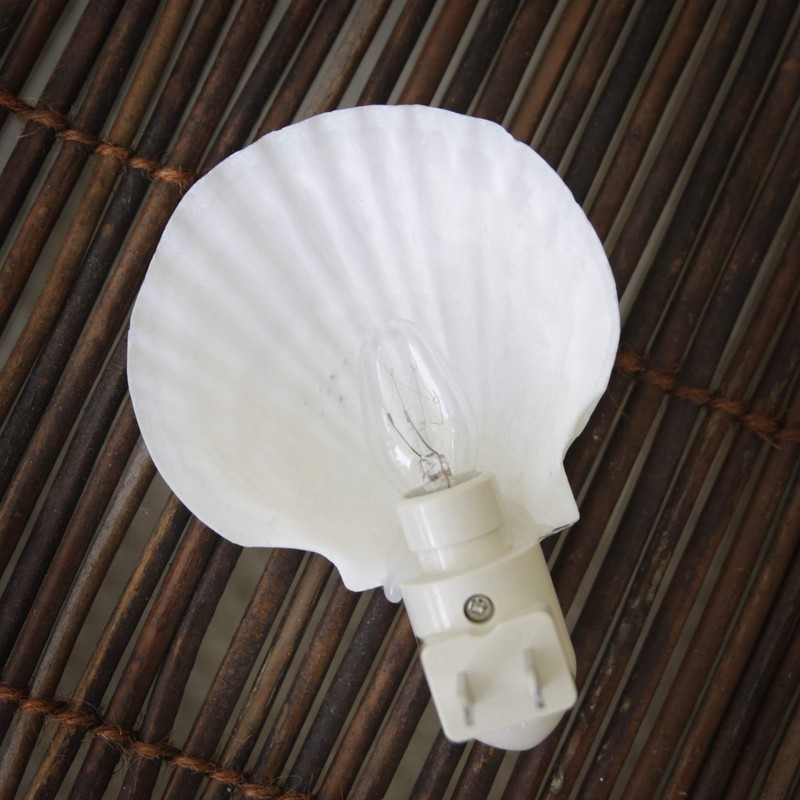 Tumbler Home Real Sea Shell Beach Night Light Real, Natural,