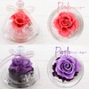 Preserved Flower, Glass Dome, Gift, Glass Case, Present, Flower Gift,