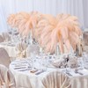 XunYee 100 Pcs Large Natural Ostrich Feathers Plumes Bulk for