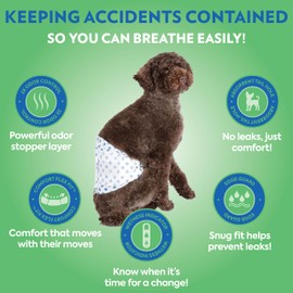 OUT! PetCare Male Dog Diapers, Disposable Belly Bands, XS/S, 32 Count