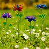 Viveta 4 Pack Flower Decorative Garden Stakes, Metal Flowers Outdoor