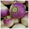 Everwilde Farms - 1/4 Lb Purple Top White Globe Turnip