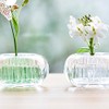 Ash Concept (h concept) Phillips (+d) Michixa MICHI-KUSA Water D-370-BL