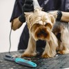 Groomer Essentials Mat Remover