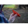 Stansport 5-in-1 Plastic Survival Whistle (622)