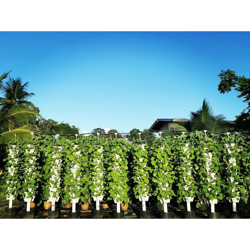 New (20) Individual Stacking Hydroponic 13" Pots - Build Your