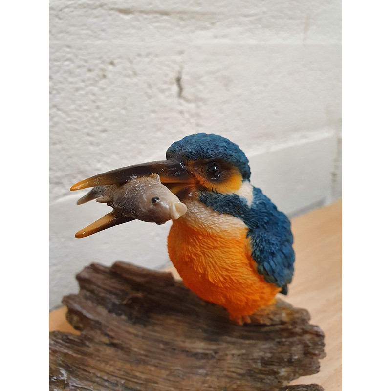 Vivid Arts Kingfisher on Driftwood Home or Garden Decoration (BG-KF08-F)