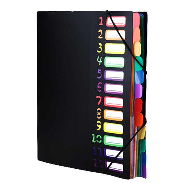 Portable Document Folder A4, PP Plastic Organiser Folder, Expanding File