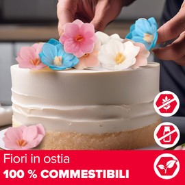 dekora – Fiori commestibili per torte – 18 camelie in cialda bianca 4 cm – Senza zucchero, glutine e lattosio – Decorazioni commestibili per Cupcake, Matrimonio, Compleanno, Battesimo