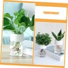 Totority 4Pcs Clear Pots Versatile Plastic Planters for Hydroponic Semi
