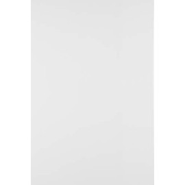 Netuno 100 x Craft Cardboard, White, DIN A4, 210 x 297 mm, 340 g, Splendorgel, Extra White, Natural Cardboard, Smooth, Satined, High-Quality Fine Cardboard for Invitation Cards, Menus, Certificates,