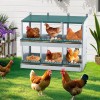 Green Metal Chicken Nesting Box with 6 Compartments Roll Away