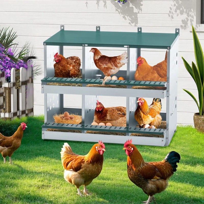 Green Metal Chicken Nesting Box with 6 Compartments Roll Away