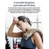 GETTTECH Auriculares Deportivos Inalámbricos, Sonido Envolvente 360°, Resistentes al Sudor,