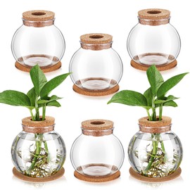 Baderke 6 Packs Propagation Vases for Plants Plastic Plant Propagation Station with Hole Lid and Cork Coasters Plant Growing in Water Hydroponic Home Office Table Decoration(Fish Bowl Style)