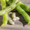 Henderson Lima Bean Seeds - 5 Lb ~6,400 Seeds -
