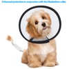 CHGShine Dog Tail Protector Starter Pack - Tail Dressing Vet