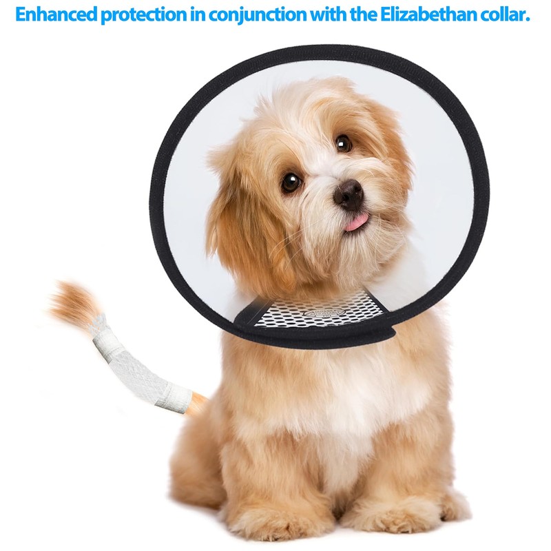 CHGShine Dog Tail Protector Starter Pack - Tail Dressing Vet