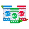 PUR Xylitol Chewing Gum  Flavor Variety (3 Pack) Peppermint Spearmint Cinnamon