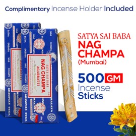 Raajsee Incense Stick Holder Bundle with Satya Nag Champa Incense Sticks 250 gmx 2 Pack (500 GMS), Insense Sticks Nag Champa Agarbatti