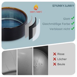 SPUNKYJUNKY Ceramic Dog Bowl Feeding Bowl Cat Bowl for Cats and Dogs (400 ml, Starry Sky Blue)