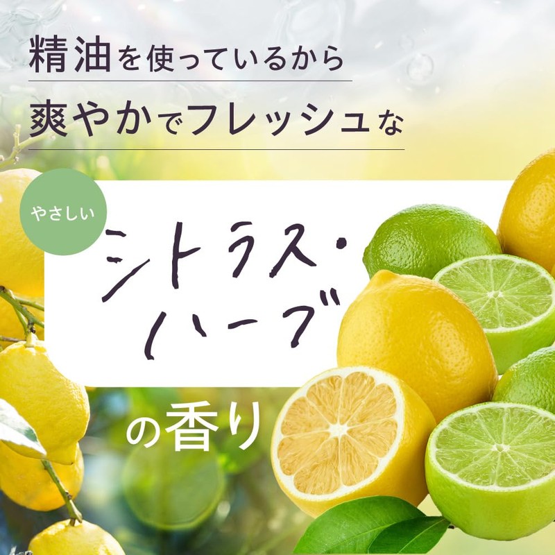 アンリップ デリケートゾーン 用 泡 ソープ 2本[ 医薬部外品 トラネキサム酸 グリチルリチン酸2K 配合