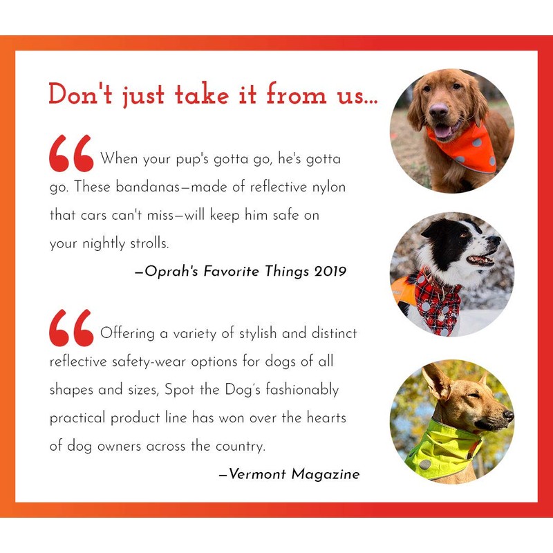 Spot the Dog Classic Orange Reflective Protective Bandana