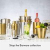 Viners Barware 2-Piece Bottle Stopper Gift Set