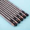 Delhi Deli Scribe Infinite Pencil Eraser Black Pencil 2B 12