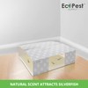Silverfish Trap — 12 Pack | Sticky Indoor Glue Trap