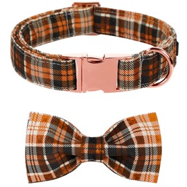 Lionet Paws Dog Collar with Bowtie, Autumn Bowtie for Dogs and Cats, Adjustable Comfortable Dog Collar Girl Boy, XS, Neck 20-30cm