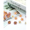 Pink Flower Push Pins，30 Pcs