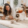 Electric Mouse Cat Toy for Indoor Play – Fast-Moving Plush