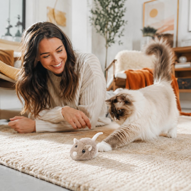Electric Mouse Cat Toy for Indoor Play – Fast-Moving Plush