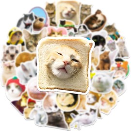Funny Cat Stickers Cute Cat Sticker Set 50 Pieces Cute Decoration for Car Laptop Skateboard Bicycle Moped Motorcycle Bicycle Computer Suitable for Adults Children