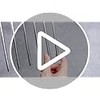 Qualirey Trap Divider Stainless Steel Small Animal Trap Fork Divider