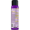Raid Bed Bug Foaming Spray, for Indoor Use, Non-Staining 16.5