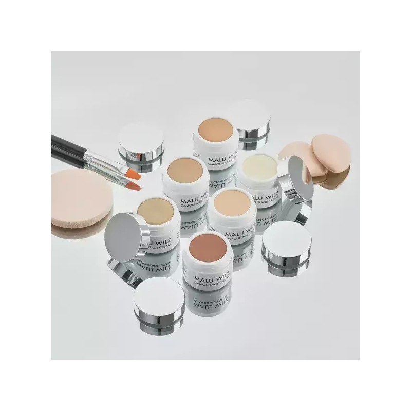 Marubiltz 마루빌츠 케머플라지 크림 컨실러 6g 6color [4호 미디움 베이지]