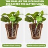 4pcs Self Watering Flower Globes Decorative Automatic Plants Watering Bulbs