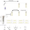 DINOWIN Mini Firework String Light with Remote Control USB Operated