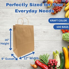ASSUREPAK Paper Bags - 12"x9"x16" - 100 Bags - 74 LB Weight basis (110 GSM strong) Twisted Handle - Kraft/Natural